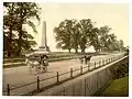 Dutch Elms, Phoenix Park, Dublin, c.1890 [7]