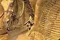 Detail of the Winged Horses (Tarquinia)