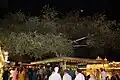 Photograph of the Baba Budha Beri tree at-night within the Golden Temple complex, Amritsar, Punjab, India, April 2023