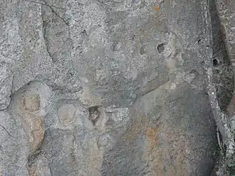 Petroglyphs
