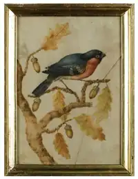 Pier-Sante Cicala