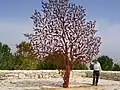 "For is the tree of the field a man", Partisans' Panorama, Yad Vashem, Jerusalem