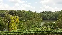 Pilikula Botanical Garden - Forest near the Lake