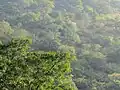 The characteristic mountainous landscape