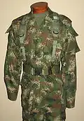 Image of modern camouflage currently worn by the Colombian army.