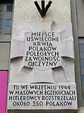 Żelazna 87