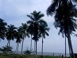 Image 7Kribi Beach (from Tourism in Cameroon)