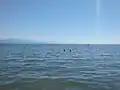 View from the beach at Vidy, on the shores of Lake Geneva
