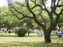 Plaza central