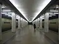 Bulvar Rokossovskogo – triple-span column underground station
