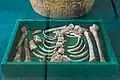 Human remains found in the jars.
