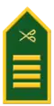 Major