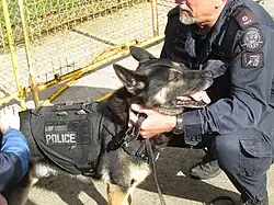 Working vest