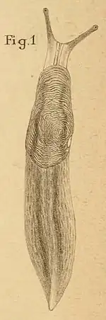 b&w image