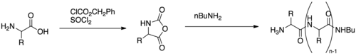 Poly-Leucine Synthesis