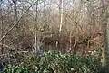 Thornden Woods