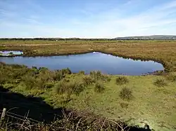 Pond in the reserve