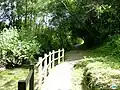 Path