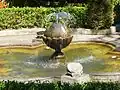 Pond