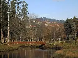Bridges over the island canal