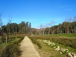Pontevedra Line by Richard Long.