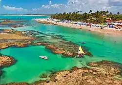 Aerial view of the beach