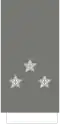 Tenente-general[41] (Portuguese Army)