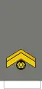 Sargento-mor (Portuguese Army)[35]