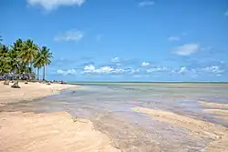 Tatuamunha Beach
