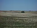 Prairie in Alberta, Canada