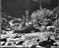 Prayer To The Thunderbird, Roland W. Reed, 1912
