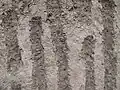 Scratches in the cement lining of stair sections