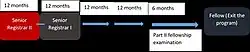 Progression at senior registrar level