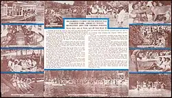 Promotional flyer for Paradise Park, Florida