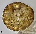 Centropyxis bipilata from Veternica