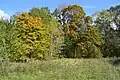 Park land