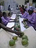 Image 9Mango packaging (from Malian cuisine)