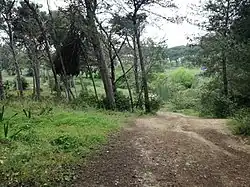 Quinta dos Ingleses