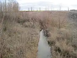 Río Valdeginate