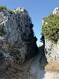 Queen Lupa's path