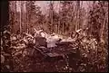 Remains of a summer cottage which collapsed under the weight of the winter's snow, 1973