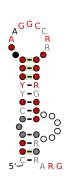 Flavi_TBFV_SL6 Secondary structure taken from the Rfam database. Family RF03537