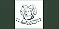 Camp flag