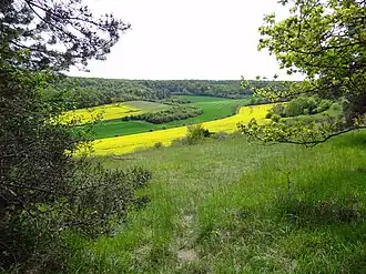 The regional natural reserve of the Cailles Valley