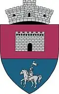 Coat of arms of Bănița