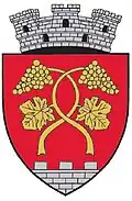 Coat of arms of Seini