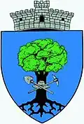 Coat of arms of Podenii Noi
