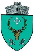 Coat of arms of Pătrăuți