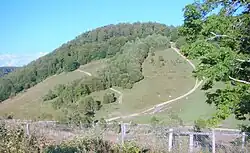 Poieni