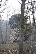 Remains of the Rabštejn Castle